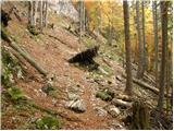 Planina Blato - Velo polje